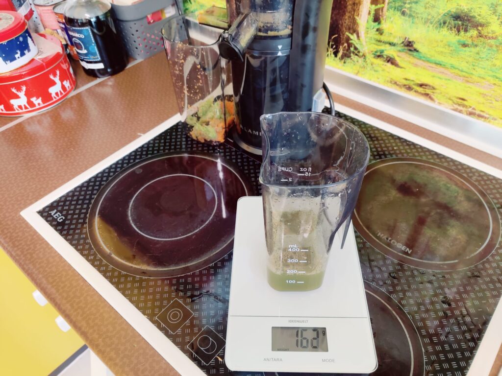 Klamer 150 Slow-Juicer Saftausbeute Sellerie