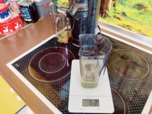 Klamer 150 Slow-Juicer Saftausbeute Sellerie