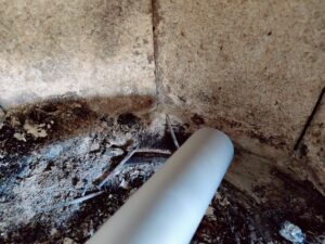 Einhell TC-AV 1830 D Aschesauger Saugleistung feine Asche