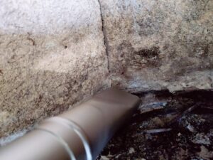 Cecotec Conga Ash 2000 Home Aschesauger Fugendüse im Betrieb