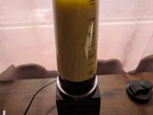 Tefal Blend Up Smoothie-Maker Obst-Smoothie beim Mixen