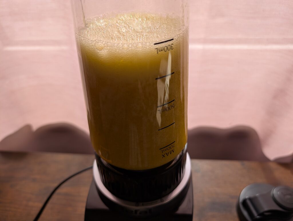 Tefal Blend Up Smoothie-Maker Obst Smoothie gemixt