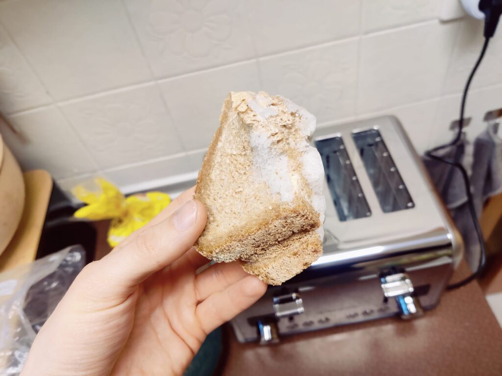 Steinborg SB-2080 Toaster gefrorenes Brot im Test